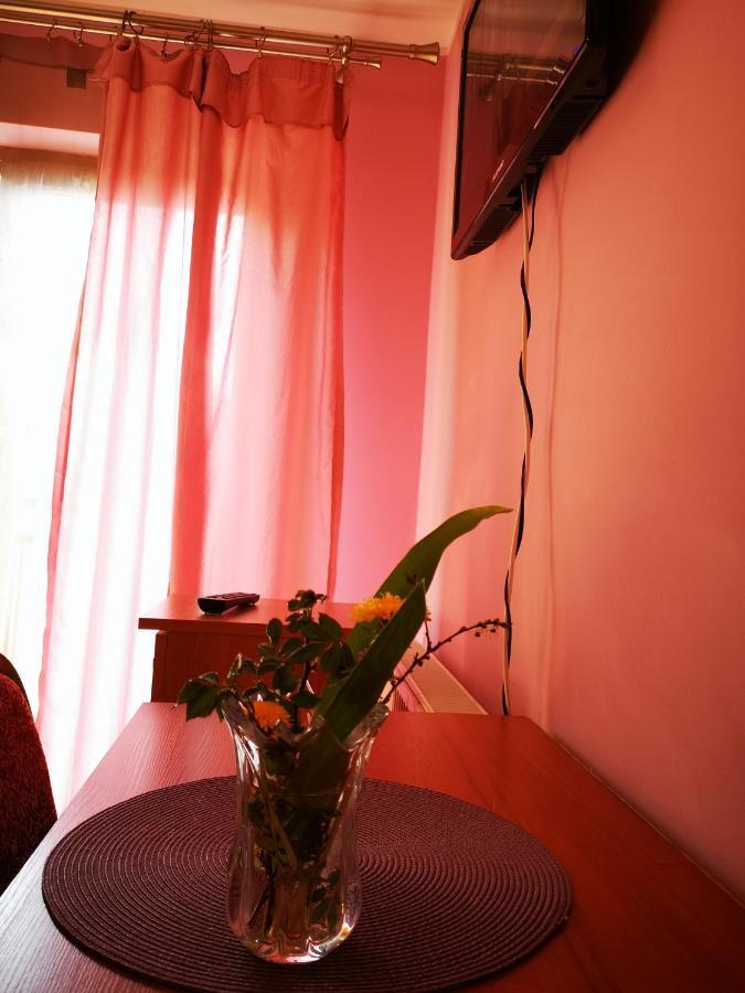 Agroturystyka W Dolinie Narwi Łomża 외부 사진